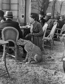 woluf:  life:  Woman sitting with her pet ocelot having tea at a Bois de Boulogne cafe, Paris, 1963. See more photos here. (Alfred Eisenstaedt—TIme &amp; Life Pictures/Getty Images)  That’s a cheetah not an ocelot, but this is still wonderful. 