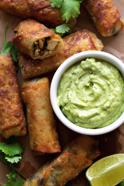do-not-touch-my-food:  Southwestern Egg Rolls with Avocado Cilantro Sauce
