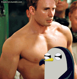 eclaired82:  vealchopy:  benedictervention:tazzymanian:asamurai:freakinmi:I love Marvel movies. If I ever stop reblogging this, assume I’m deadThis made me laugh so much!  Isn’t the internet wonderful?   This penguin speaks to me  GUNTHER STAHP