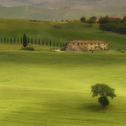 breathtakingdestinations:  San Quirico d’Orcia - Tuscany - Italy (von Dimit®i)