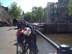 Today&rsquo;s a sunny day in Amsterdam. Finally!!