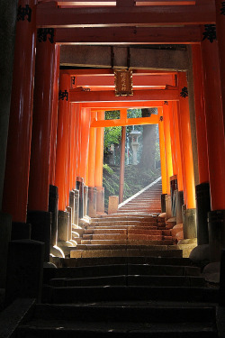 genjoshi:  todayintokyo:Fushimi Inari Taisha, Kyoto http://ift.tt/1byKHIl