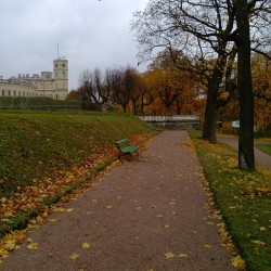 #Autumn #sonata 5 / #Gatchina #imperial #park