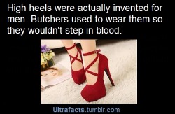 nerdy-ginger-rules-the-world:  ultrafacts:  Source See more facts Here  Women wear them now so we don’t have to step in the blood of our enemies  I have no idea if the butcher thing is true, but important men used to wear them to appear taller.