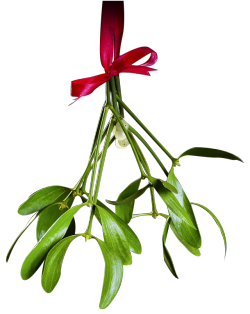 totallytransparent:  Transparent Mistletoe(Reblog it and check your dash to see who (or what) is waiting under the mistletoe for you!)Made by Totally Transparent 
