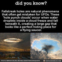did-you-kno: Fallstreak holes are natural phenomena   that often get mistaken for UFOs. These  ‘hole punch clouds’ occur when water  droplets inside a cloud freeze and fall  beneath it, creating a large gap that looks like a perfect hiding place for