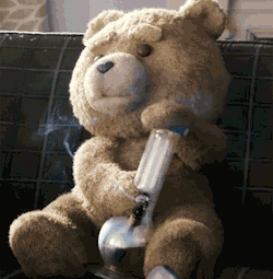 bodaciousboobies:cannabismovement2015:How Frigging Funny was Ted!!!All Your Weed Needs!!Bongs! Pipes! Grinders! Vaps!Never Gets Old!