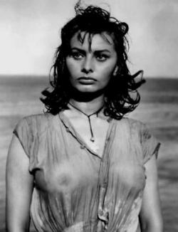 loutigergirl99:  Sofia Loren