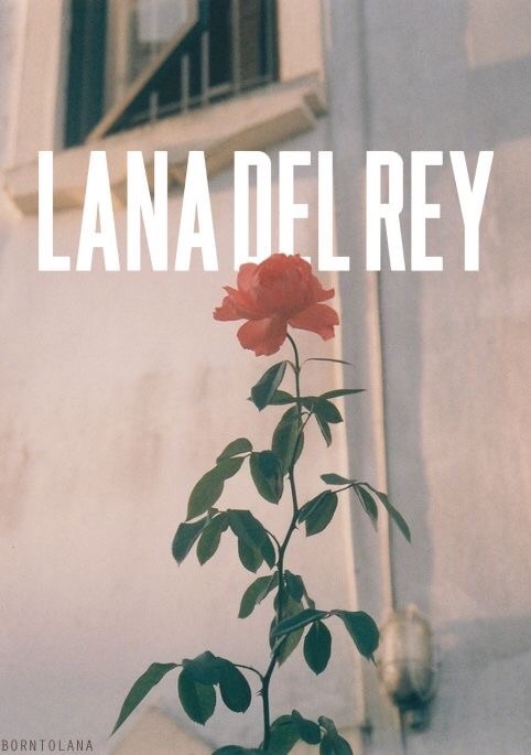 Porn only-lana-del-rey:  Lana Del Rey photos