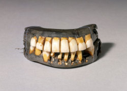 anotheriteration:  tw: racism, slavery, torture fuckyeahstellapeach:  afrodiaspores:  George Washington’s dentures, ca. 1780s More than his teeth were false, as Michael Coard and others have documented:  Although Washington considered his enslaved