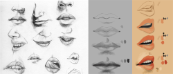 helpyoudraw:  Study sketch   tutorial. Mouth. by Cthulhu-Great 