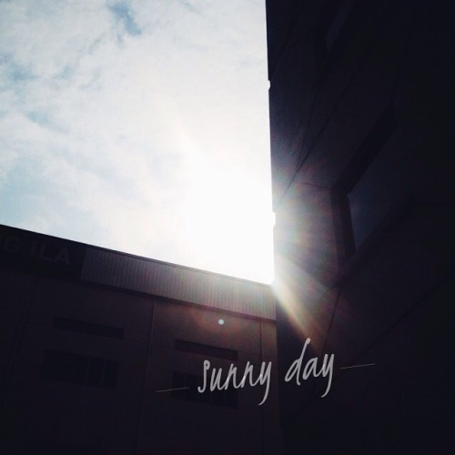 #morning #sunshine #sunny #day #sun #vsco adult photos