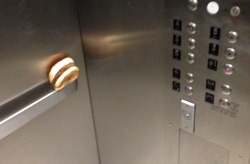 natalie-ann:  kanayastrider:  grimdarkthroes:  THERES A HAMBURGER IN THE ELEVATOR AT SCHOOL??  taking lunch to the next level  did you just 