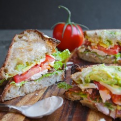 gastrogirl:  cobb salad sandwich.