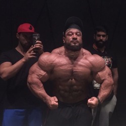 ryu86collection:  roelly winklaar