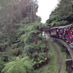 Puffing billy :) 