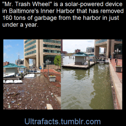 ultrafacts:  Here is a video of it: [x] Source   Follow Ultrafacts for more facts     We need these everywhere. Clean the rivers. Clean the lakes. CLEAN THE OCEANS!
