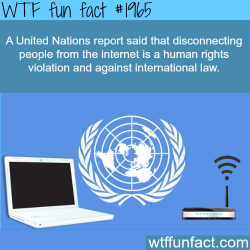 wtf-fun-factss:  United Nations and Internet Human Right - WTF fun facts
