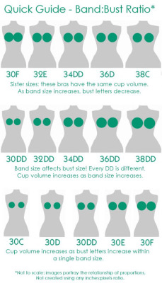 hazeleyed1:  sourcedumal:  artist-refs:  (via EPBOT: Everything You Never Knew You Needed To Know About Bras)  OMG THISPEOPLELEARN THISI cannot tell you how many women I get in my store who will say 3 different bra sizes and then go “But I know my size,