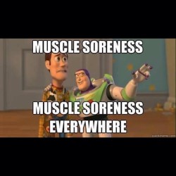 hiddensky:  Who’s expecting DOMS after Mondays sesh? #doms #sore #muscle #shredding by ultimatebodies