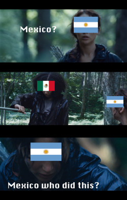 notfunnynotcool:  World cup as the hunger