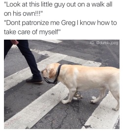 nick-avallone:  I saw this dog walking himself through new york today and it made my life 