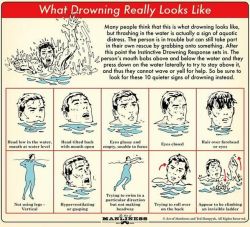 wire-man:askamericatheheroyeah:seriffluoride:  carrying—my—crosses:  doodlee-a:  GUYS, THIS IS IMPORTANT. I’ve been a lifeguard for four years, and I didn’t fully appreciate this until a little kid jumped into the shallow end of the lap pool.