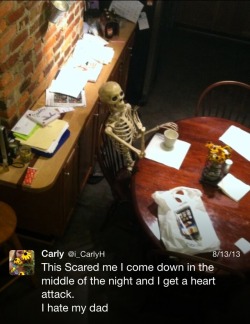 solarsenpai:  mostly-perfect:  So one time my dad bought a skeleton for Halloween, and one day he decided to place it in the kitchen to scare me and it went too far…  LMAO PERFECT   Reblogging so everyone has something to do Halloween