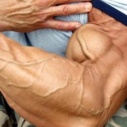 addicted2muscl:  Big Veiny Muscle Arm!   #muscles #flexing#bodybuildingmotivation   Join My Muscle Network!  http://www.addictedtomuscles.com/   You Tube: Sucka4Muscles  Facebook: addicted2muscle  Twitter: Addicted2Muscl  Instagram: allaboutthemuscle