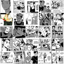 mausalen:  I fucking did it, 243 panels in total Bokuto’s appearances in the manga. EVERY. FUCKING. ONE.