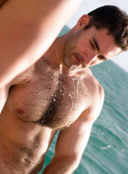 hairy-chests:  http://hairy-chests.tumblr.com      Submit MoDeL G      Cock - Gif