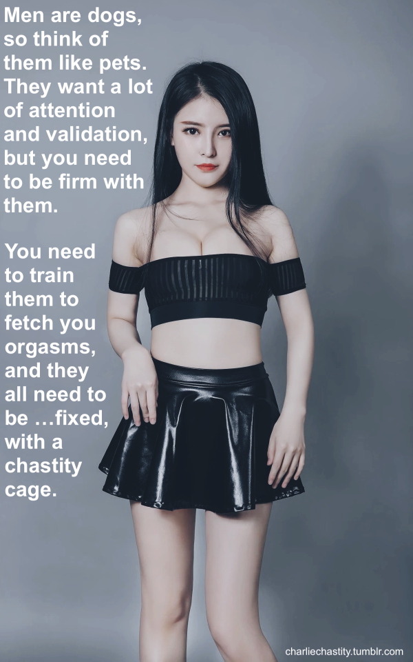 Men are dogs, so think of them like pets. They want a lot of attention and validation, but you need to be firm with them.You need to train them to fetch you orgasms, and they all need to be &hellip;fixed, with a chastity cage.