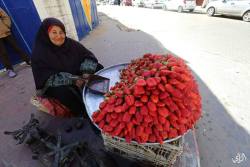 lahciguapa:  momo33me:  An old woman sells strawberries in ‎Gaza‬ . 2 February 2015  Those are the most beautiful strawberries I ever seen. I’ve reblogged them before, but I would be head over heels for a basket of strawberries like that. 