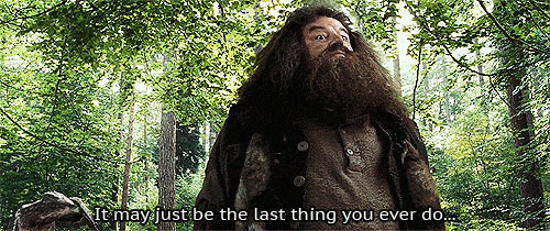 hobbitsunite:  Life lessons with Hagrid 