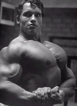   It&rsquo;s logical to think that if you like Arnold or Jean Claude, then you also like muscles. Because, Arnold and Jean Claude were made famous because of their muscles. So if you are thinking: &lsquo;Also I want muscles&rsquo;, first think before
