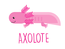 aldosdiseno:  Animación vectorial Axolote 
