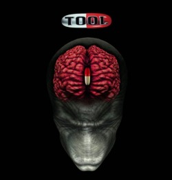 This is your brain on TOOL