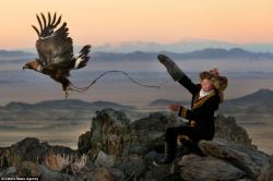 unreconstructedfangirl:  becausebirds:  lamarghe73:  Ashol Pan. 13 year old Ashol Pan is one of the estimated last 250 Mongolian eagle hunters left in the world. And one of the very few women that are granted the privilege to be trained in this ancient,