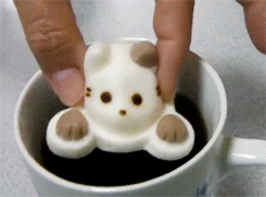jewishsanta:  enjoy your wonderful cup of coffee as this cat fucking melts and drowns before your very eyes