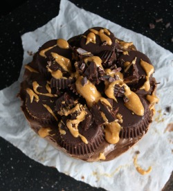 Vegan-Yums:  Raw Vegan Chocolate Peanut Butter Cheesecake / Recipe   Whhaahht?