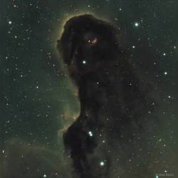 The Dust Monster in IC 1396 #nasa #apod #ic1396 #elephantstrunknebula #nebula #gas #dust #stars #star #milkyway #galaxy #interstellar #intergalactic #universe #space #science #astronomy
