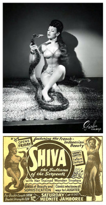 Shiva       aka. &ldquo;The Sultana of the Serpents&rdquo;.. Promo photo and vintage newspaper promo ad featuring the snake dancer billed as: &ldquo;The French-Indonesian Beauty&rdquo;.. She was represented by the &lsquo;Suey Welch Agency&rsquo;;