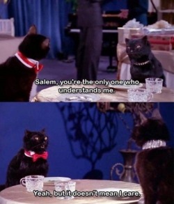 sockmonkeyrenegade:  thebestworstidea:  30-space-chickens-go:  Possibly one of the best characters to ever be on TV  Salem was such a good character no one cared he was a bad puppet.  This character was the reason I expected that someday my cat was going