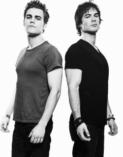 kitkatkio:  Stefan & Damon. Yumm. 