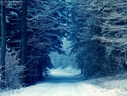 rosellefreya:  Snowy Path by *AljoschaThielen 