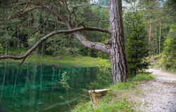 helenofdestroy:  Grüner See (Green Lake) is a lake in Styria, Austria. In the winter you’ll find crisp, tranquil grasslands and lake that is only about 3 to 6 feet deep.  However, during the spring, when the temperature rises and the snow melts,