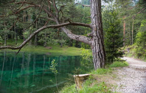 helenofdestroy:Grüner See (Green Lake) is porn pictures