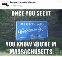 pizzafallon: jasper-rolls:  taxloopholes: I don’t think Massachusetts Memes knows what memes are they right tho   