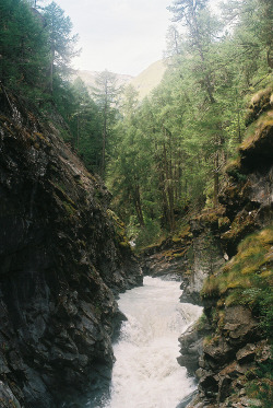 eartheld:  captivesouls:  Nature  mostly nature