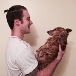 mashable:  Man buns are out, dog buns are in.
